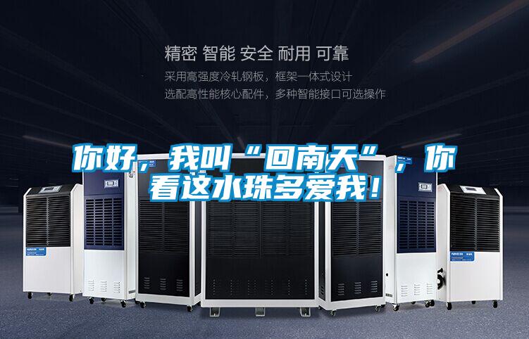 你好，我叫“回南天”，你看這水珠多愛(ài)我！