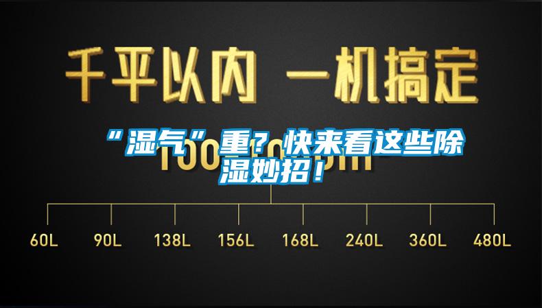 “濕氣”重？快來(lái)看這些除濕妙招！