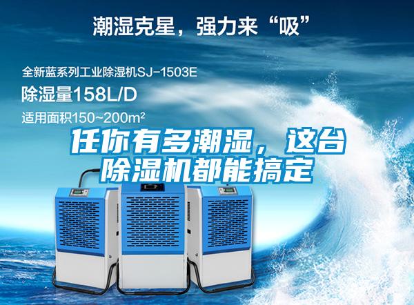 任你有多潮濕，這臺除濕機都能搞定