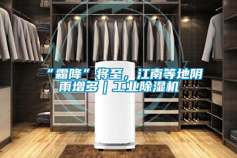 “霜降”將至，江南等地陰雨增多｜工業(yè)除濕機(jī)