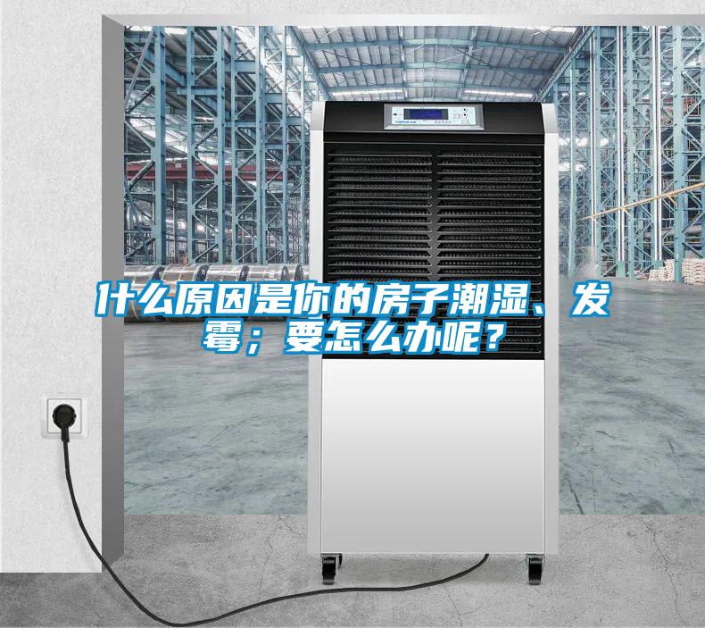 什么原因是你的房子潮濕、發霉；要怎么辦呢？