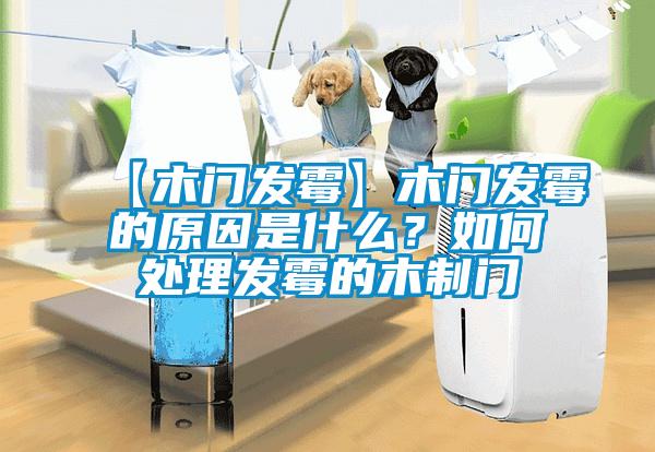 【木門發霉】木門發霉的原因是什么？如何處理發霉的木制門