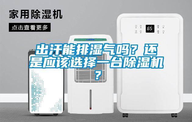 出汗能排濕氣嗎？還是應該選擇一臺除濕機？