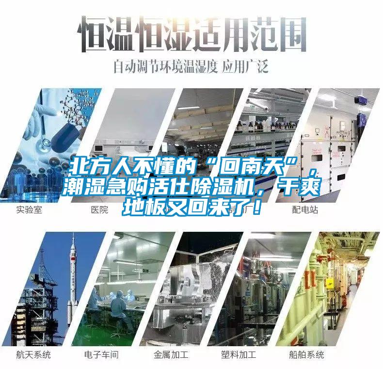 北方人不懂的“回南天”，潮濕急購活仕除濕機，干爽地板又回來了！