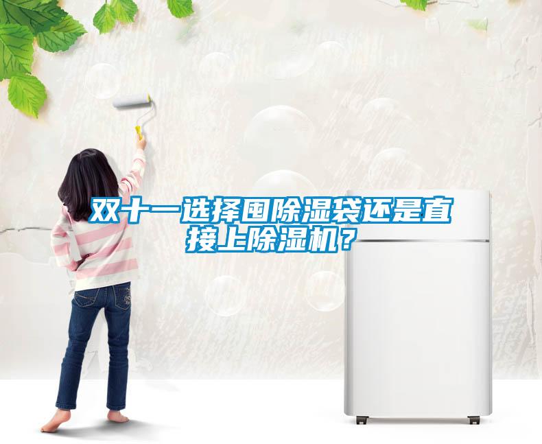 雙十一選擇囤除濕袋還是直接上除濕機(jī)？