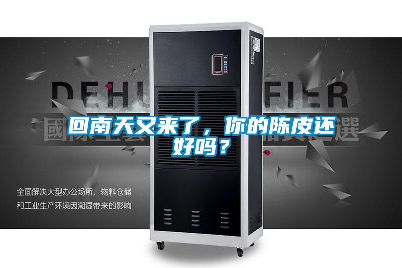 回南天又來了，你的陳皮還好嗎？