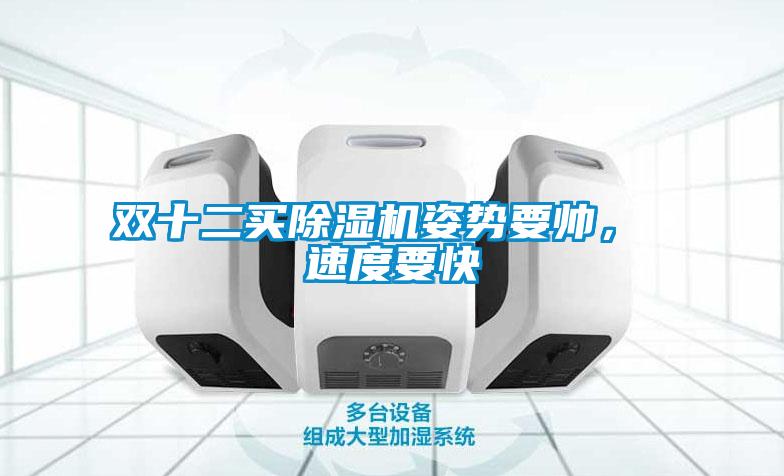 雙十二買除濕機姿勢要帥， 速度要快