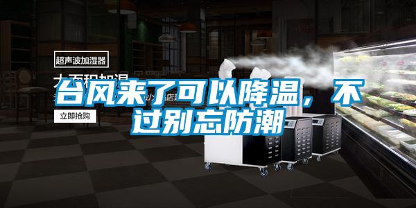 臺風來了可以降溫，不過別忘防潮