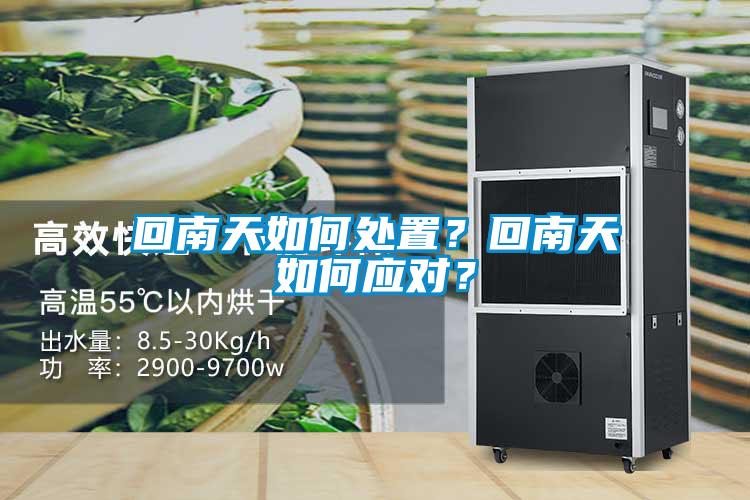 回南天如何處置？回南天如何應(yīng)對(duì)？