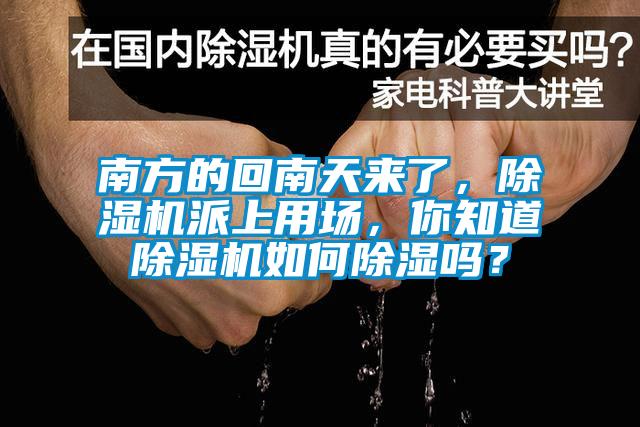 南方的回南天來(lái)了，除濕機(jī)派上用場(chǎng)，你知道除濕機(jī)如何除濕嗎？
