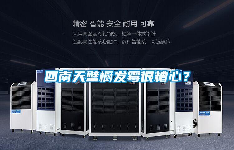 回南天壁櫥發霉很糟心？