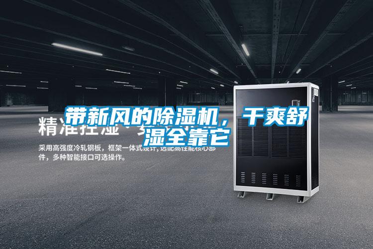 帶新風的除濕機，干爽舒濕全靠它