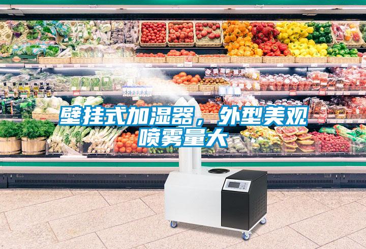 壁掛式加濕器，外型美觀噴霧量大