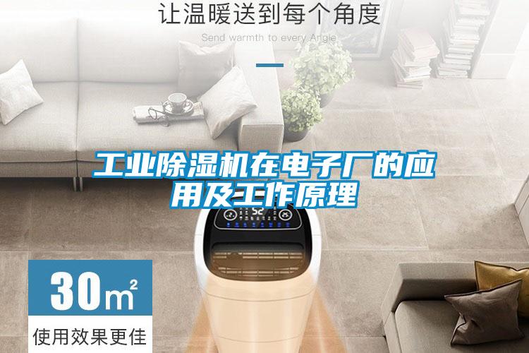 工業(yè)除濕機(jī)在電子廠(chǎng)的應(yīng)用及工作原理