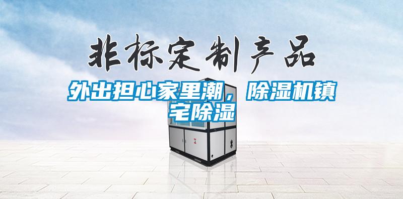 外出擔心家里潮，除濕機鎮宅除濕