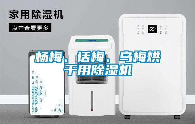楊梅、話梅、烏梅烘干用除濕機