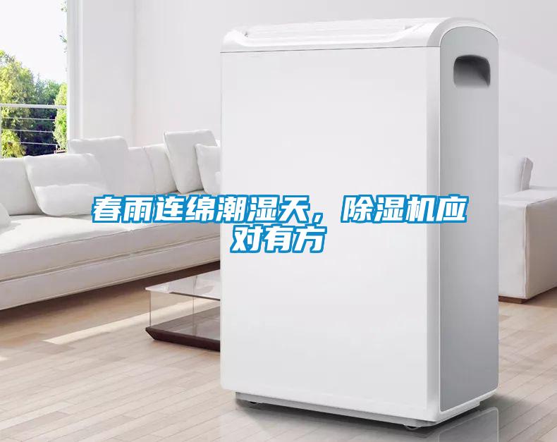 春雨連綿潮濕天，除濕機應對有方