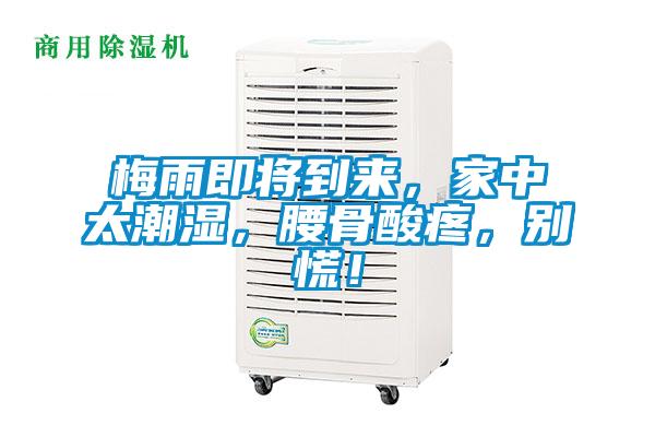 梅雨即將到來，家中太潮濕，腰骨酸疼，別慌！