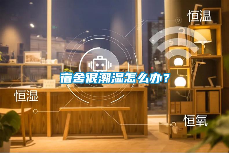 宿舍很潮濕怎么辦？