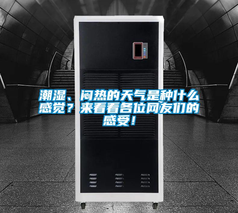 潮濕、悶熱的天氣是種什么感覺？來看看各位網友們的感受！
