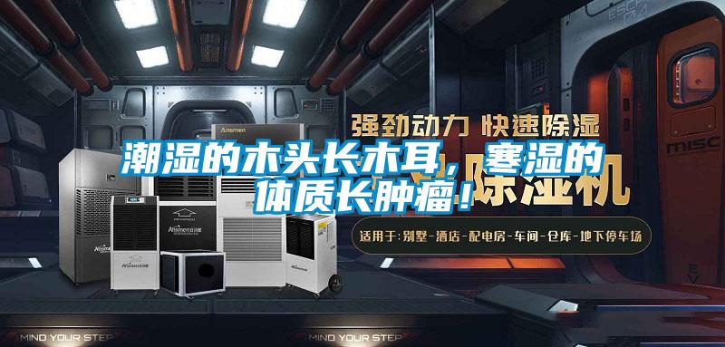 潮濕的木頭長木耳，寒濕的體質(zhì)長腫瘤！