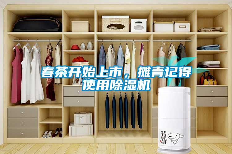 春茶開始上市，攤青記得使用除濕機(jī)