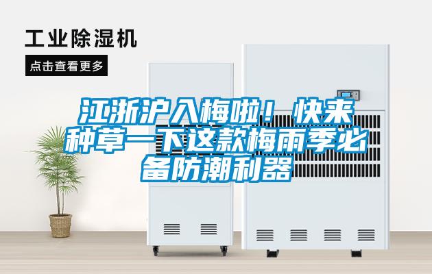江浙滬入梅啦！快來種草一下這款梅雨季必備防潮利器