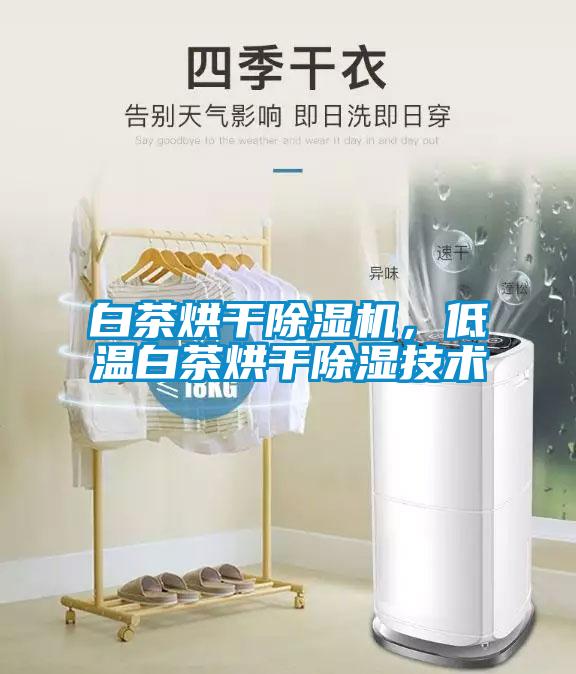 白茶烘干除濕機，低溫白茶烘干除濕技術