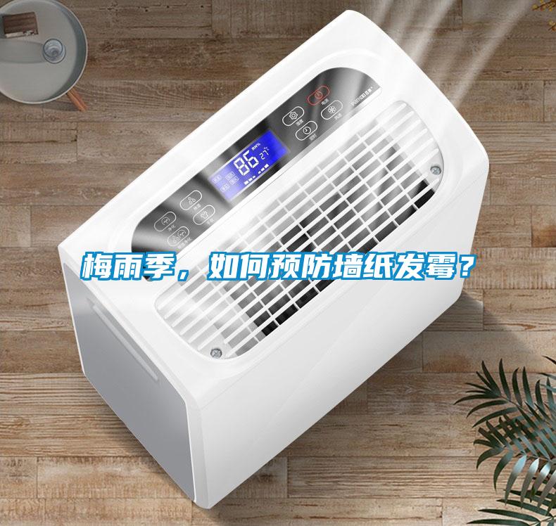 梅雨季，如何預防墻紙發霉？