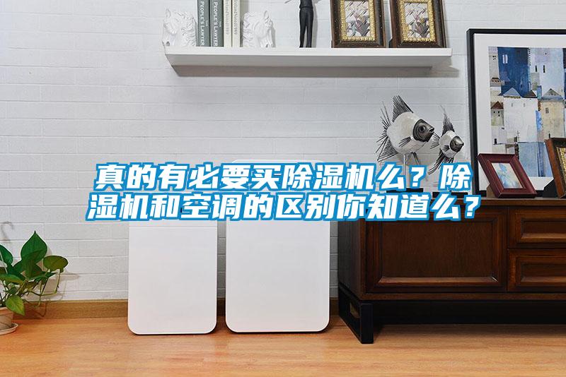 真的有必要買除濕機么？除濕機和空調的區(qū)別你知道么？