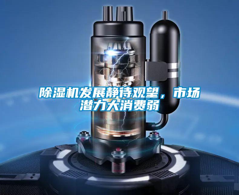 除濕機發展靜待觀望，市場潛力大消費弱