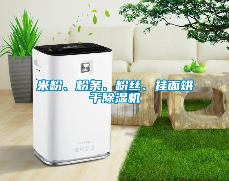 米粉、粉條、粉絲、掛面烘干除濕機