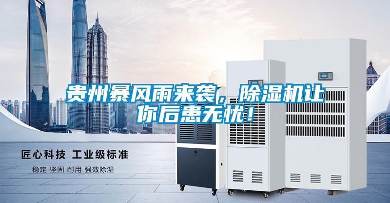 貴州暴風(fēng)雨來襲，除濕機(jī)讓你后患無憂！