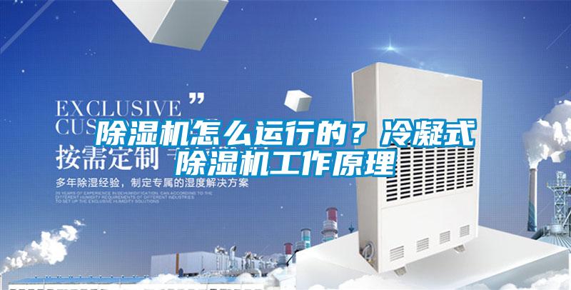 除濕機怎么運行的？冷凝式除濕機工作原理