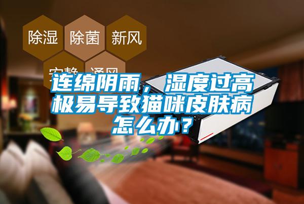 連綿陰雨，濕度過高極易導致貓咪皮膚病怎么辦？