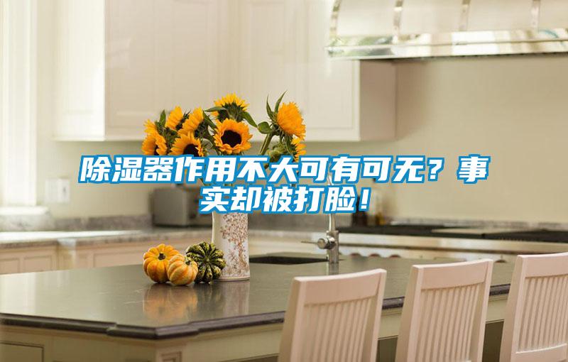 除濕器作用不大可有可無？事實卻被打臉！