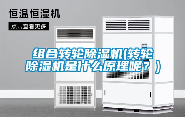 組合轉輪除濕機(轉輪除濕機是什么原理呢？)
