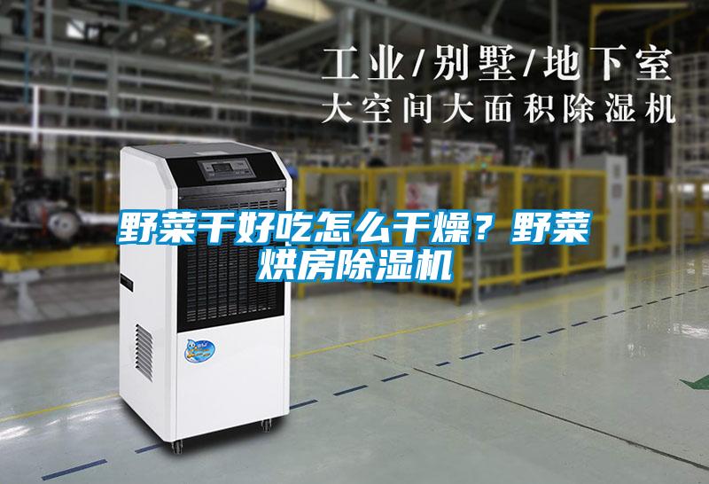 野菜干好吃怎么干燥？野菜烘房除濕機