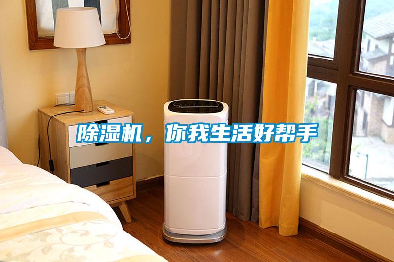 除濕機，你我生活好幫手