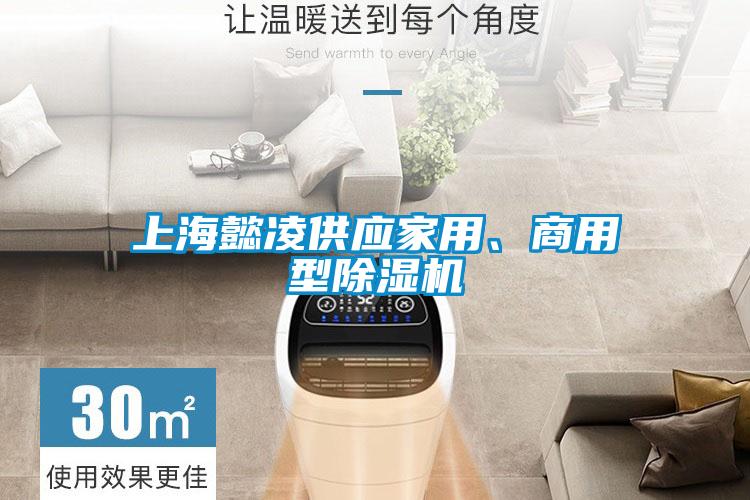 上海懿凌供應(yīng)家用、商用型除濕機(jī)