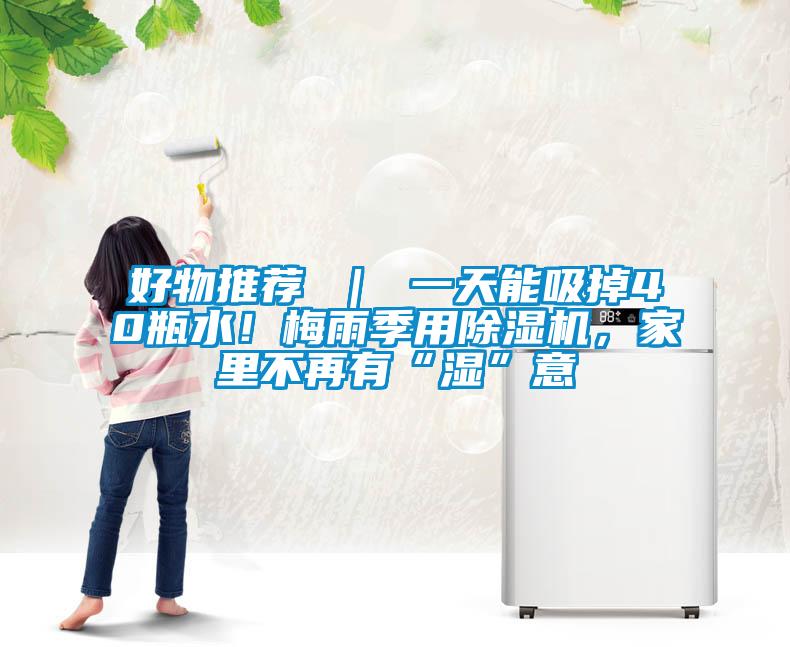 好物推薦 ｜ 一天能吸掉40瓶水！梅雨季用除濕機(jī)，家里不再有“濕”意