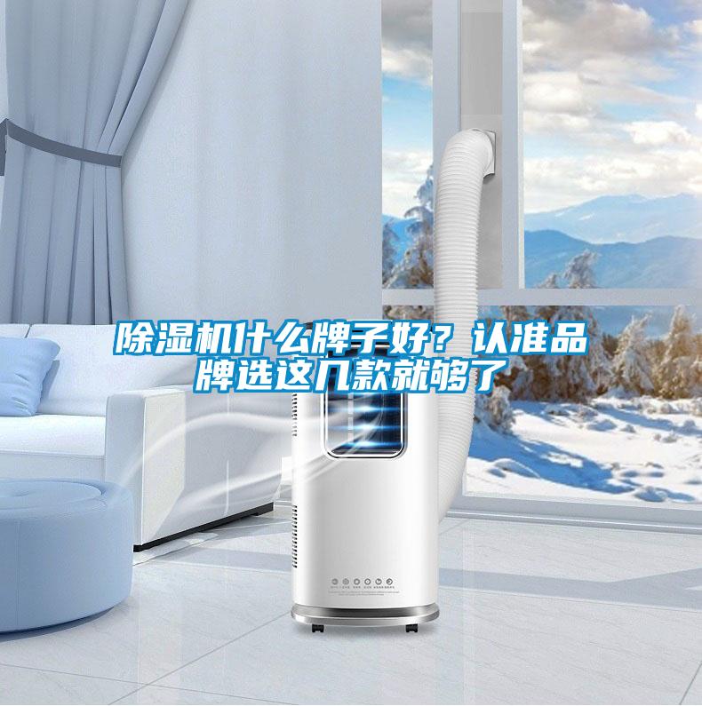 除濕機什么牌子好？認準品牌選這幾款就夠了