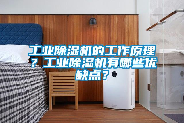 工業(yè)除濕機的工作原理？工業(yè)除濕機有哪些優(yōu)缺點？
