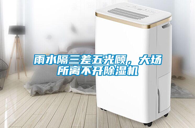 雨水隔三差五光顧，大場所離不開除濕機