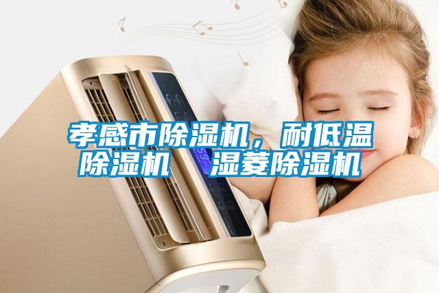 孝感市除濕機，耐低溫除濕機  濕菱除濕機