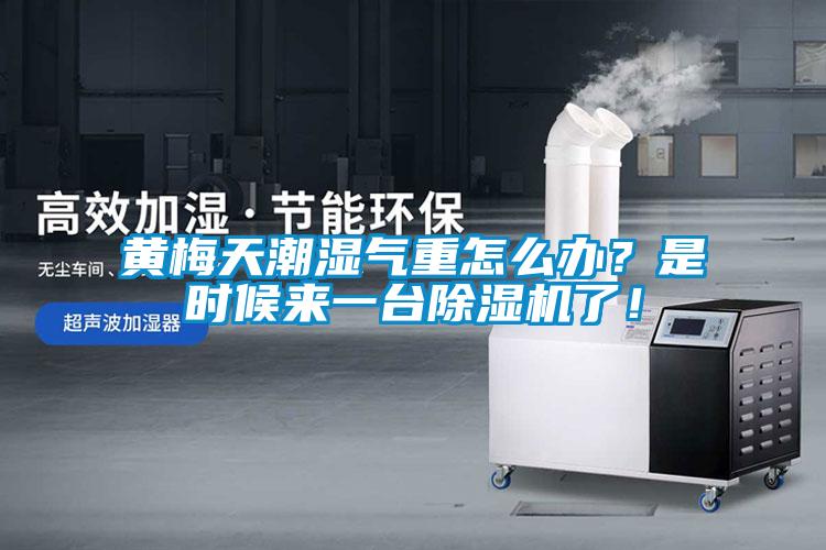 黃梅天潮濕氣重怎么辦？是時候來一臺除濕機了！