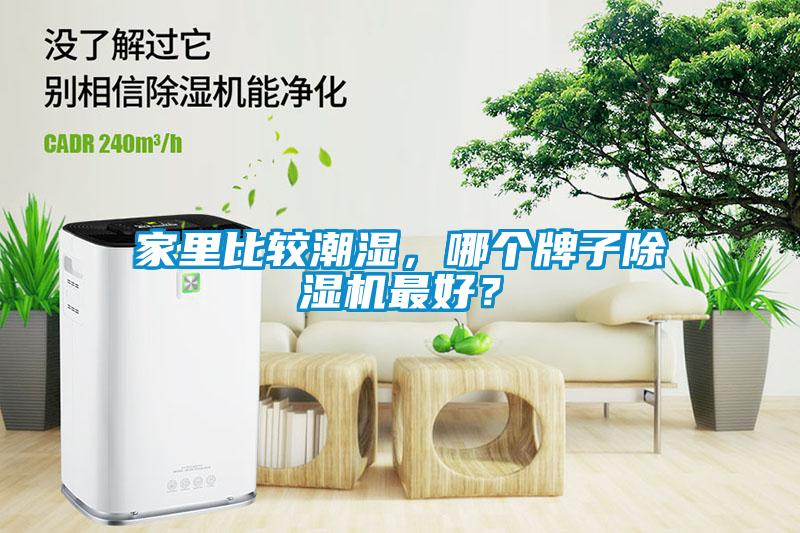 家里比較潮濕，哪個(gè)牌子除濕機(jī)最好？