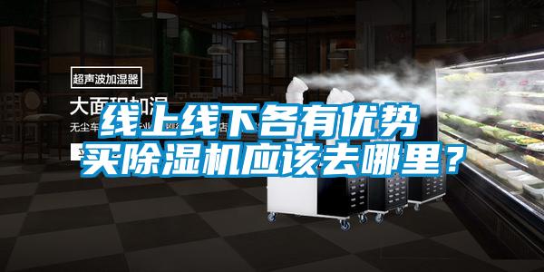 線上線下各有優(yōu)勢 買除濕機應(yīng)該去哪里？