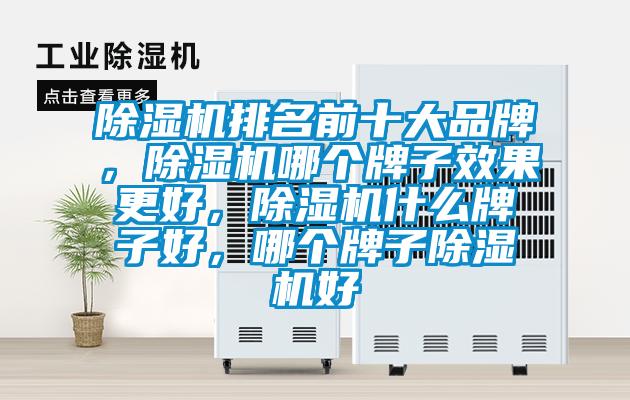除濕機(jī)排名前十大品牌，除濕機(jī)哪個(gè)牌子效果更好，除濕機(jī)什么牌子好，哪個(gè)牌子除濕機(jī)好