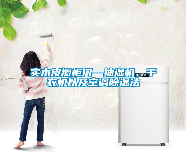 實木皮櫥柜門—抽濕機、干衣機以及空調(diào)除濕法